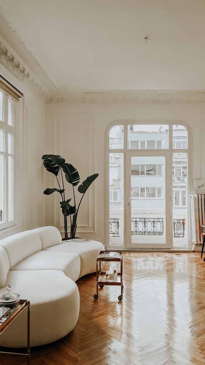Interior of spacious light flat with couch near table and potted green plant next to windows with glass door leading to balcony